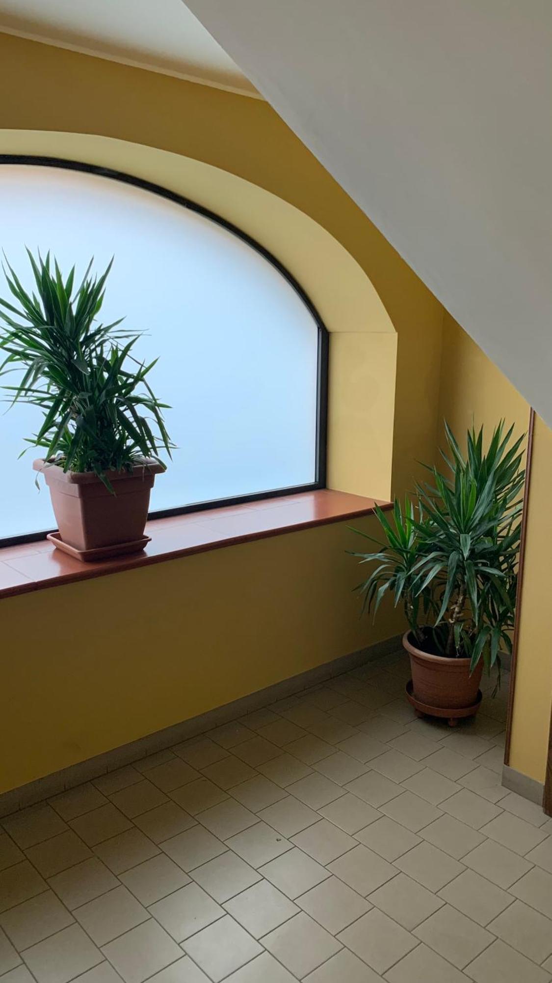 Bb Borgo Biella Tree Villa Candelo Exterior foto